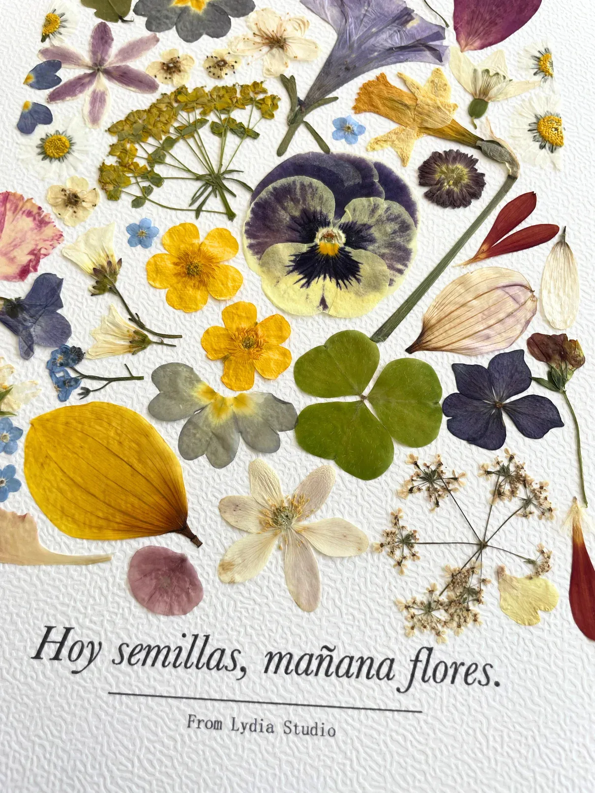 Détail de l’œuvre Hoy semillas, mañana flores !